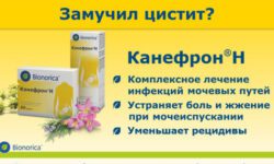 Канефрон при цистите